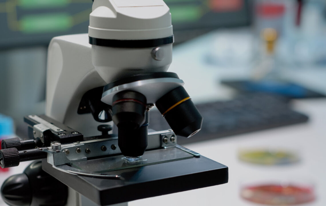 Aubrey de Grey and His Approach to Longevity Research and Daily Health Experiments