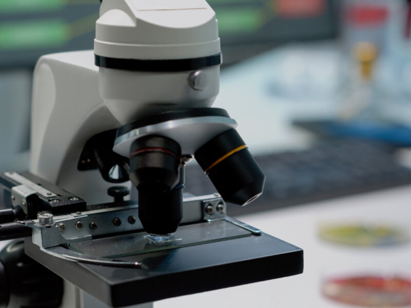 Aubrey de Grey and His Approach to Longevity Research and Daily Health Experiments