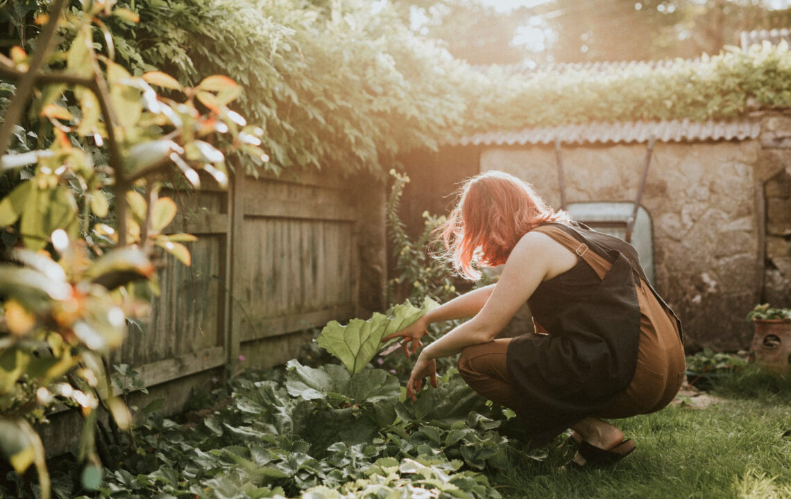 Martha Stewart and how activity and routines help her maintain energy after 80