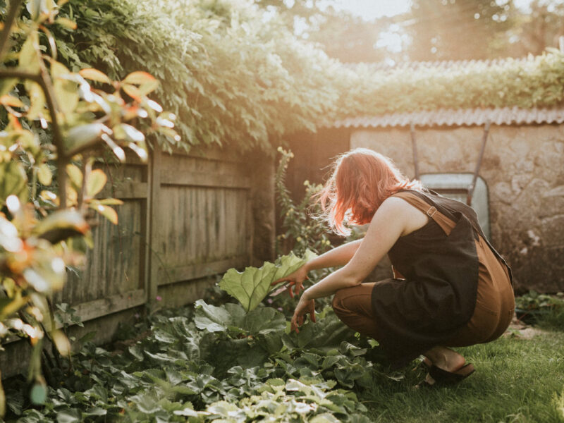 Martha Stewart and how activity and routines help her maintain energy after 80