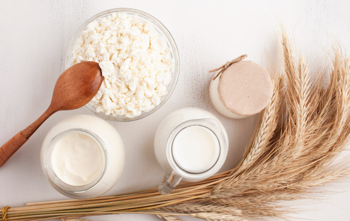 Best protein sources: plant vs animal