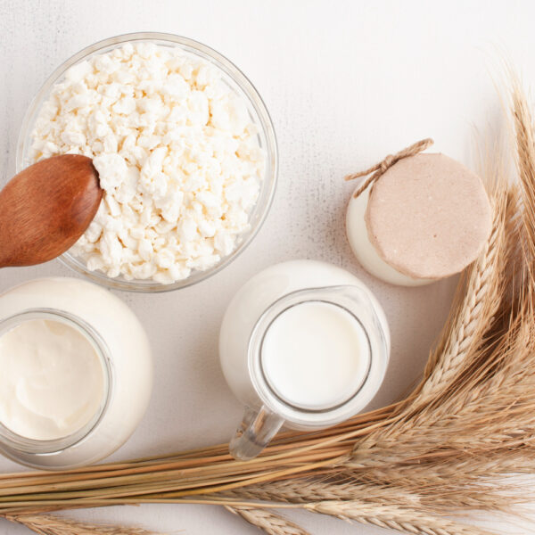 Does more protein mean a longer life?