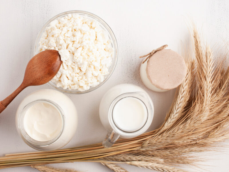 Best protein sources: plant vs animal