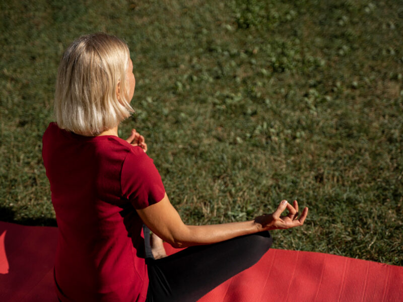 Neuroplasticity and brain changes through meditation