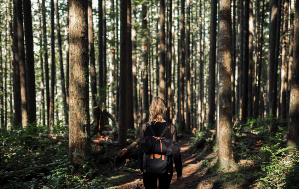 Shinrin-yoku – japońska sztuka kąpieli leśnych