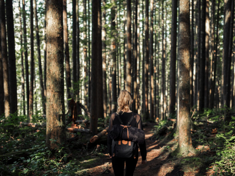 Shinrin-yoku – the Japanese art of forest bathing