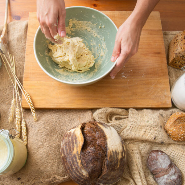 Best protein sources: plant vs animal