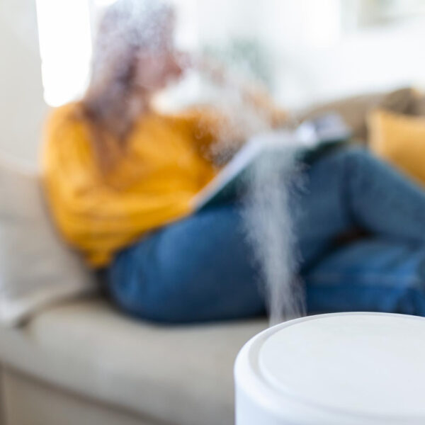 What are xenoestrogens and how do they affect our hormones?